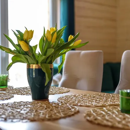 別荘 Brzozowy Zakatek *