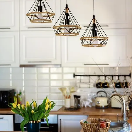 Brzozowy Zakatek Dziemiany