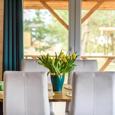 Brzozowy Zakatek Holiday home Dziemiany