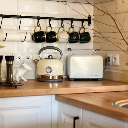 Brzozowy Zakatek 別荘 Dziemiany