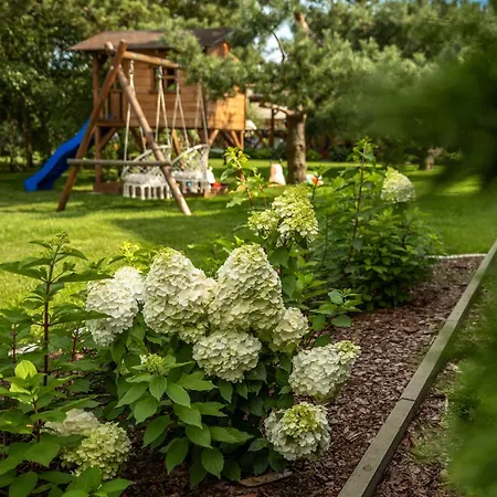 Brzozowy Zakatek Dziemiany