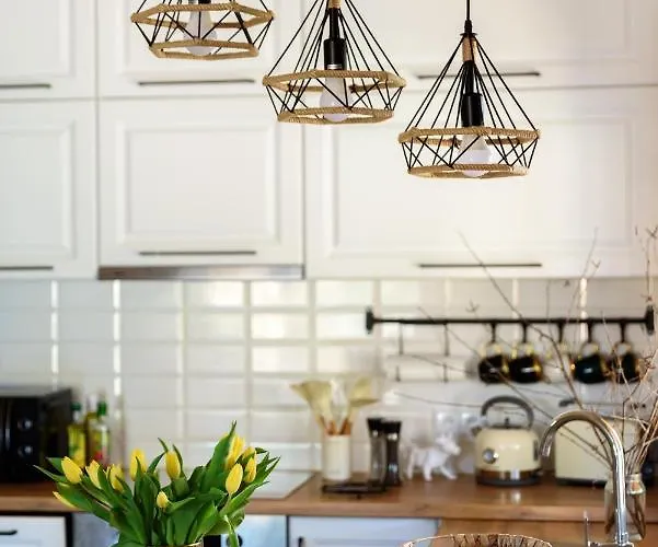 Brzozowy Zakatek Dziemiany