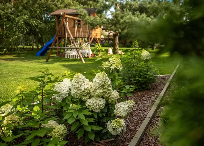 Brzozowy Zakatek Dziemiany